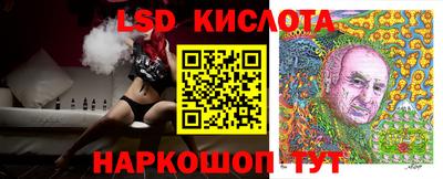 СК Моздок