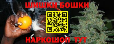 СК Моздок